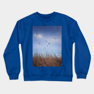 birds migration Crewneck Sweatshirt